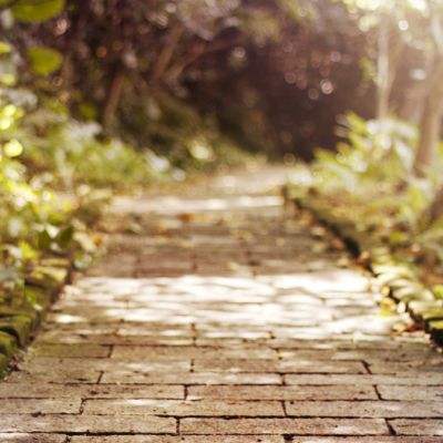 乐动体育app全站下载